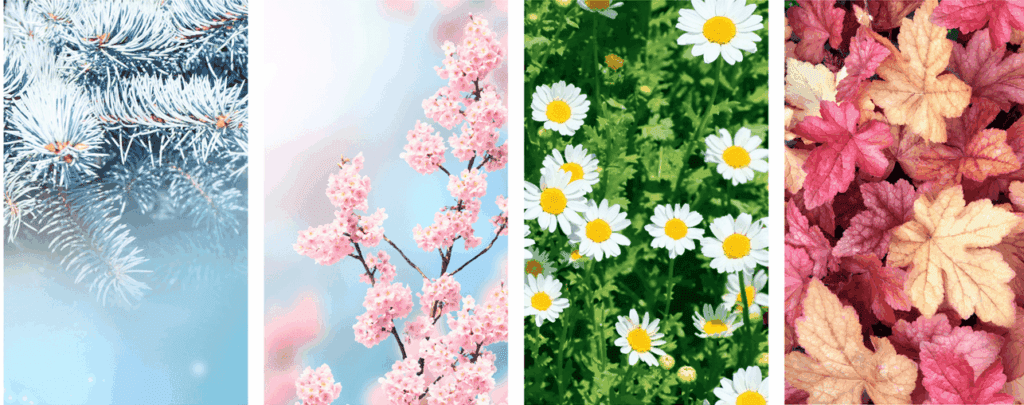 ilustracja do asrtykulu o fazach cyklu miesiaczkowego e1702325434727