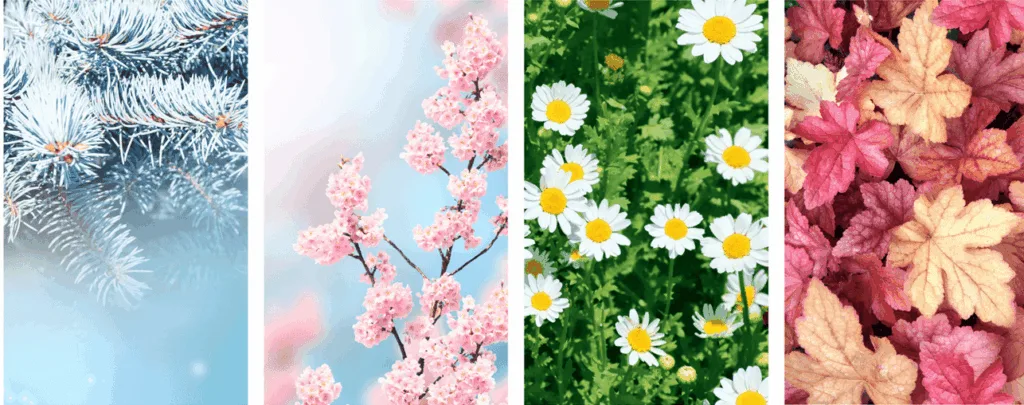 ilustracja do asrtykulu o fazach cyklu miesiaczkowego e1702325434727